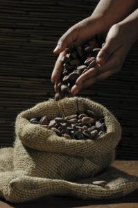 cacao